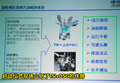 速腾 一汽大众 速腾Sagitar 2010款图片