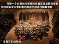 奔驰E级(进口) 奔驰(进口) 新E系双门轿跑图片