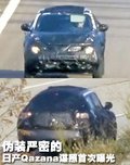 逍客 东风日产 逍客 2010款图片