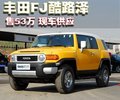 FJ酷路泽 丰田(进口) FJ酷路泽 2010款图片