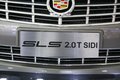 SLS賽威 凱迪拉克(國(guó)產(chǎn)) 新SLS 2010款圖片