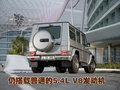 奔驰G级 奔驰(进口) G系图片