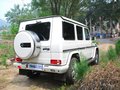 奔驰G级 奔驰(进口) G系 G500图片