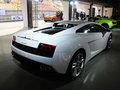 Gallardo 兰博基尼 Gallardo LP550-2图片