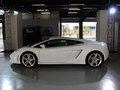 Gallardo 蘭博基尼 Gallardo LP550-2圖片