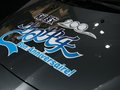 标致408 东风标致 408图片