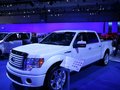 福特F-150猛禽 福特(进口) F系图片