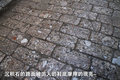 锐界(海外) 福特(进口) 锐界图片