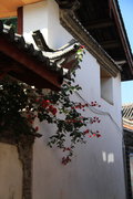 锐界(海外) 福特(进口) 锐界图片