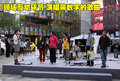 科雷傲（进口） 雷诺 科雷傲 2010款图片