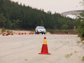 科雷傲（进口） 雷诺 科雷傲 2010款图片