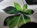 明锐 斯柯达 新明锐 greenline图片