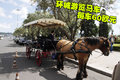 沃尔沃S60（进口） 沃尔沃(进口) S60图片