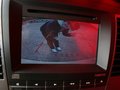 海馬騎士 海馬汽車 海馬騎士中控局部圖片