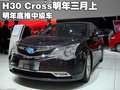 風(fēng)神H30 東風(fēng)風(fēng)神 風(fēng)神H30 CROSS圖片