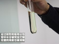 奔驰E级 北京奔驰 E级 长轴版图片