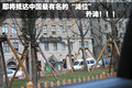 奥迪A8 奥迪(进口) 新奥迪A8L图片
