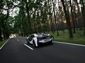 EfficientDynamics 宝马(进口) Vision EfficientDynamics 概念车