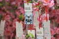 EfficientDynamics 宝马(进口) Vision EfficientDynamics 概念车图片