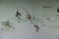 EfficientDynamics 宝马(进口) Vision EfficientDynamics 概念车图片