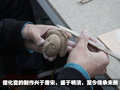 EfficientDynamics 宝马(进口) Vision EfficientDynamics 概念车图片