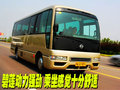 碧蓮 日產(chǎn)(進(jìn)口) 碧蓮圖片