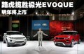 揽胜极光（进口） 路虎 揽胜-极光 Evoque  五门版图片