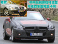 奔驰SLK 奔驰(进口) SLK 2012款图片