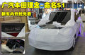 理念S1 理念 理念A0级车图片
