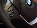 宝马X3（进口） X3 xDrive35i图片