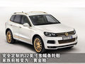 途锐 大众(进口) 新途锐 2011款图片