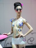 骏捷Cross 中华 骏捷Cross 2010款图片