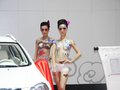骏捷Cross 中华 骏捷Cross 2010款图片