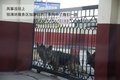 福美来 海马汽车 福美来三代图片