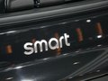 smart fortwo smart 博速版图片