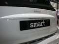 smart fortwo Smart 敞篷图片
