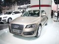 奥迪Q5 奥迪 Q5 2011款图片