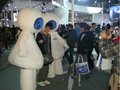 奥迪Q5 奥迪 Q5 2011款图片