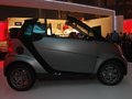 smart fortwo 精灵Smart fortwo哑光银-敞篷版图片