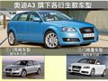 奥迪A3(进口) 奥迪(进口) A3图片