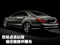 奔驰CLS 奔驰(进口) CLS系图片