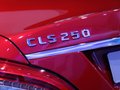 奔驰CLS CLS250 CDI图片