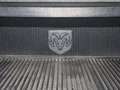 RAM Trucks霸王龙 道奇(进口) 公羊 皮卡图片