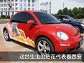 甲壳虫 大众(进口) 甲壳虫beetle图片