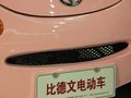 甲殼蟲(chóng) 比德文電動(dòng)車(chē)圖片
