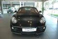 cayman(987)
