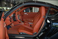 Cayman cayman(987)图片