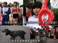 蓝瑟 三菱(东南) 蓝瑟图片