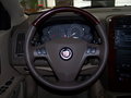 凱迪拉克SRX 凱迪拉克 SRX 2006款 特寫 圖片
