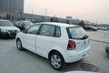 Polo 图片